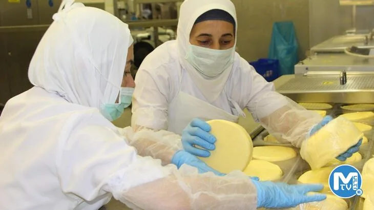 Kasım ayında fiyatı en fazla artan ürün tereyağı oldu