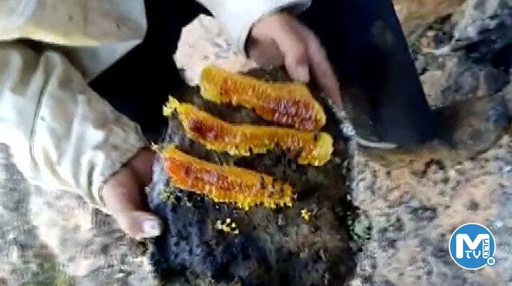 Kayaların arasından çıkarıyor: Tamamen organik