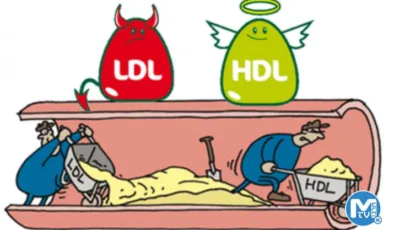 Kolesterol ve beslenme