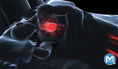 Silikozis Hastalığı