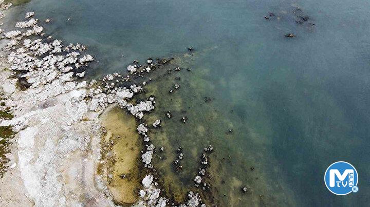 Sular çekilince hepsi ortaya çıktı: İlginç görüntüyü ilk kez görenler telefona sarıldı