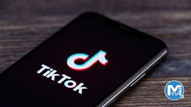 TikTok ile ilgili dikkat çeken itiraf: Gazetecileri gizlice takip ettiler