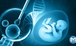 Tüp bebek tedavisiyle ilgili akılda tutulması gereken 10 gerçek