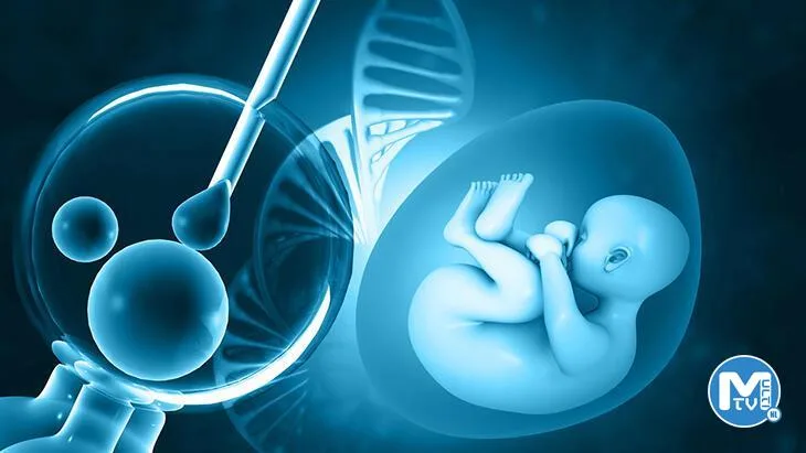 Tüp bebek tedavisiyle ilgili akılda tutulması gereken 10 gerçek