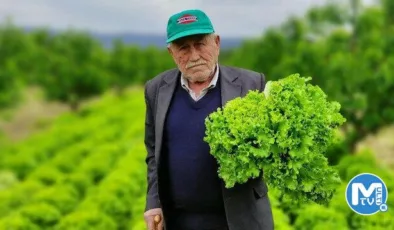 TZOB Başkanı Bayraktar açıkladı: Marulda tarla ile market arasındaki fiyat farkı 3,4 katı aştı