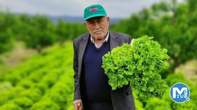 TZOB Başkanı Bayraktar açıkladı: Marulda tarla ile market arasındaki fiyat farkı 3,4 katı aştı