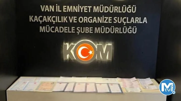 Van’da gümrük kaçakçılığı operasyonu