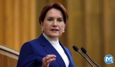 Akşener: Bu bariz şekilde bir erken seçimdir!