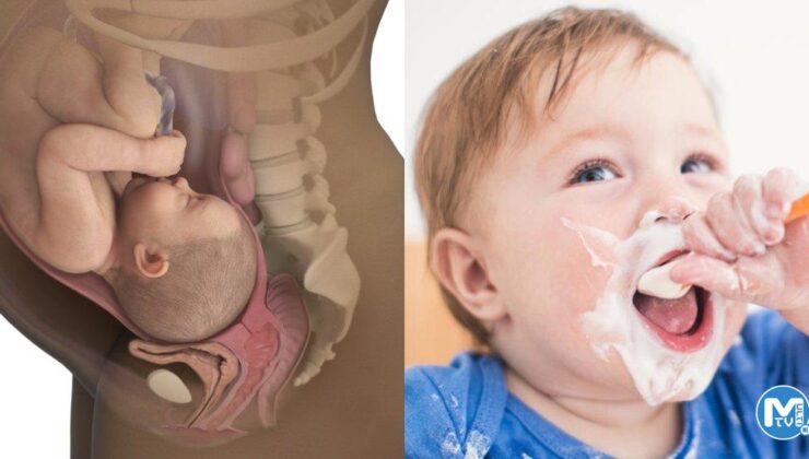 Bebekler anne karnında tat alabilir mi? Bebeğinizin tat alma duyusu nasıl gelişir?