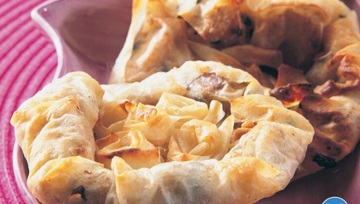 Fas Usulü Tavuklu Börek