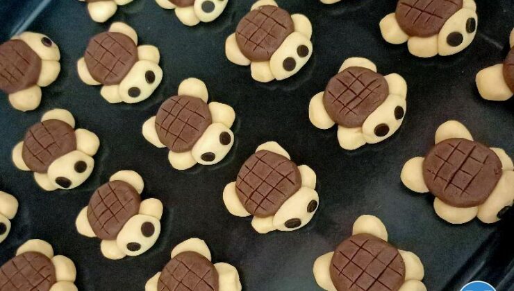 Kaplumbağa Kurabiye