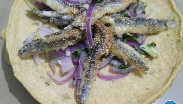 Kaygana Yanında Hamsi Tava