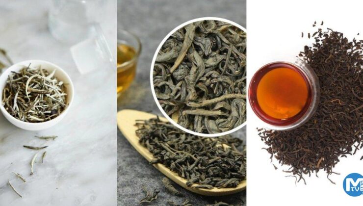 Kilo Vermek İçin En İyi Çaylar