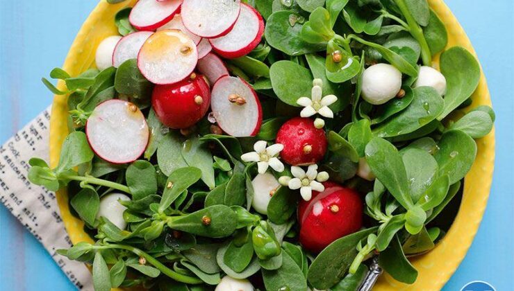 Kişniş Aromalı Semizotu Salatası