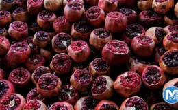 Kötü kolesterol, felç, kalp krizinin ilacı ve şifa deposu: Bir bardağı 20 TL