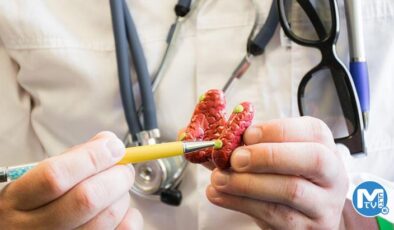 Literatürde bir ilk! Tiroid kök hücresinden paratiroid hücresi elde edildi