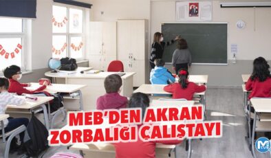 MEB’den akran zorbalığı çalıştayı