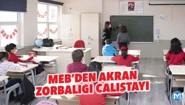 MEB’den akran zorbalığı çalıştayı