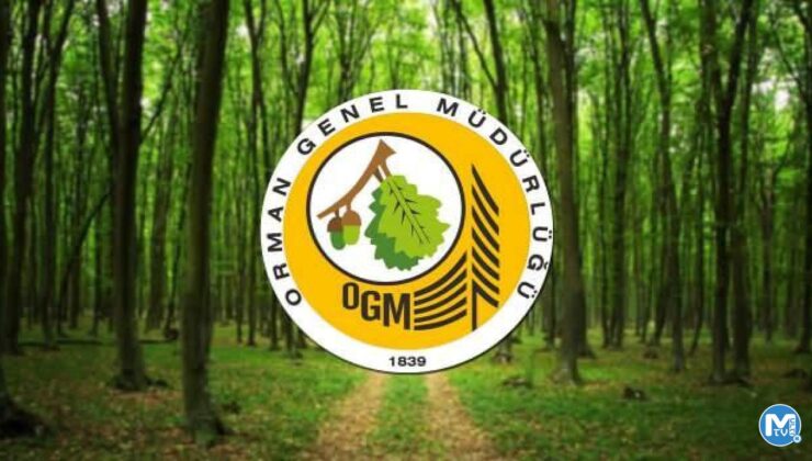 OGM en az 70 KPSS puan ile 249 personel alımı yapacak! Son başvuru ne zaman bitiyor?