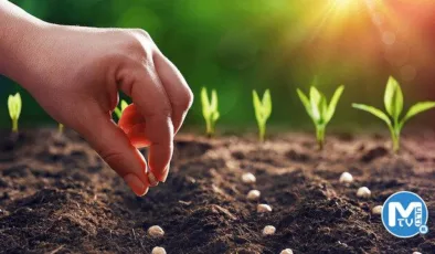 Tarım sektörü 2022 yılını ihracat rekoruyla tamamladı