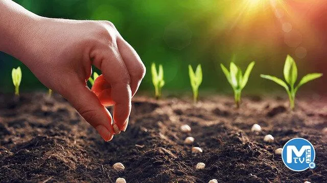 Tarım sektörü 2022 yılını ihracat rekoruyla tamamladı