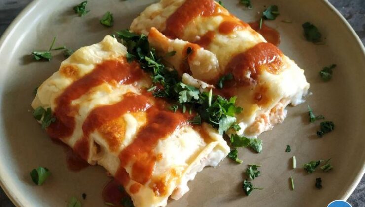 Tavuklu Lazanya Sarma