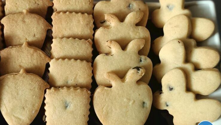 Tereyağlı Bisküvi