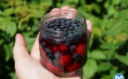 Yaban Mersinli Armutlu Komposto