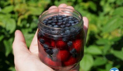 Yaban Mersinli Armutlu Komposto