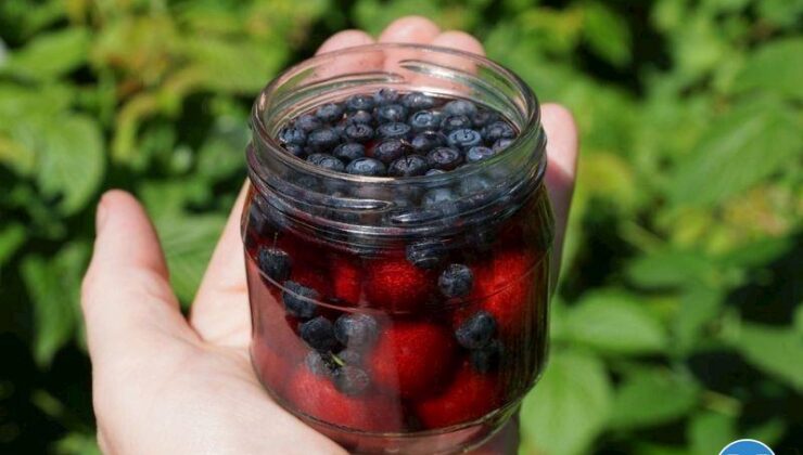 Yaban Mersinli Armutlu Komposto