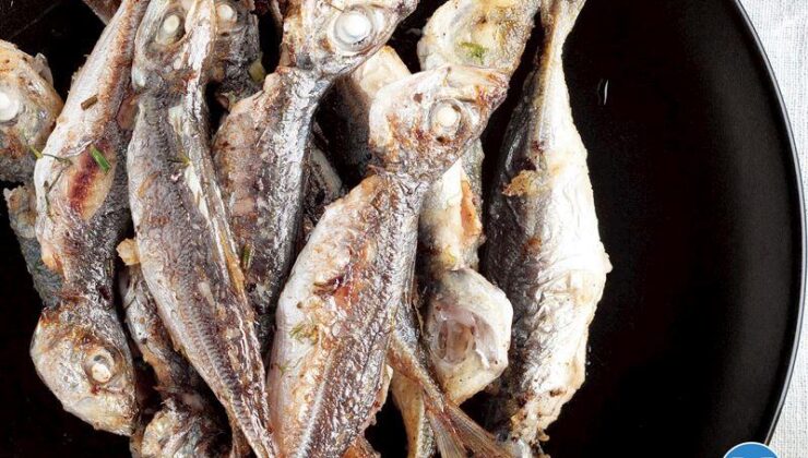 Yunan Usulü İstavrit