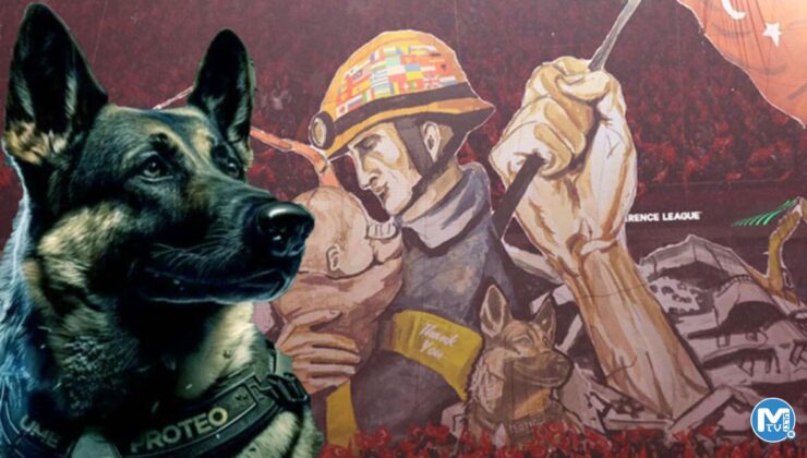 Dünya, Trabzonspor’un Proteo’lu koreografisini konuşuyor