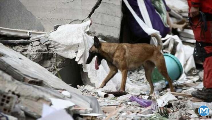 Dünyaca ünlü profesörden deprem açıklaması: Çok sıra dışı bir durum
