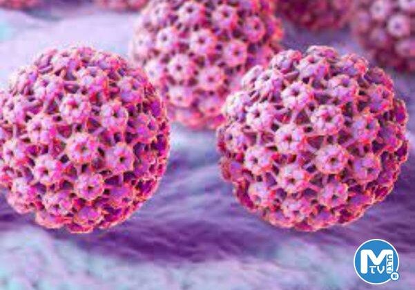 Genital siğilden rahim ağzı kanserine hpv enfeksiyonu