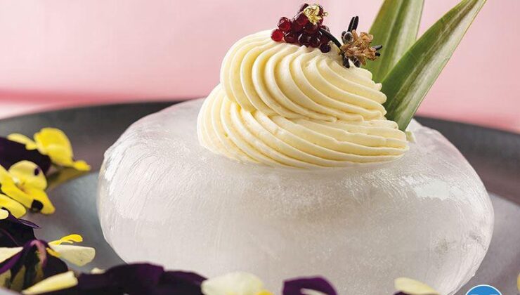 Hindistan Cevizli Granite