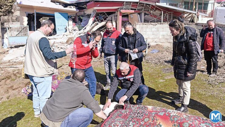 Kahramanmaraş’ta hayvancılık yapanlara destek devam ediyor