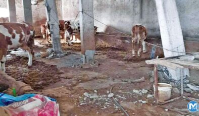 Köylerde yaşam savaşı