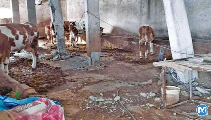 Köylerde yaşam savaşı