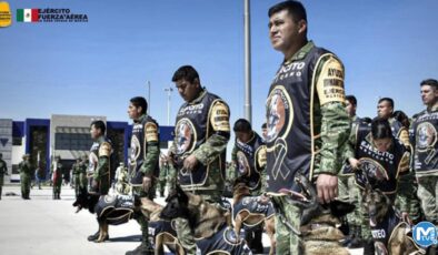 Meksikalı kurtarma ekipleri ülkelerine ulaştı