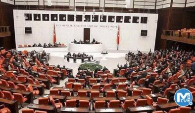 5 OHAL kararnamesi, Meclis’te