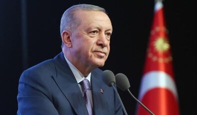 Cumhurbaşkanı Erdoğan: Sandıklara sahip çıkacak güçlü bir organizasyon kuracağız