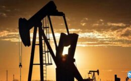Petrol kaç dolar oldu?