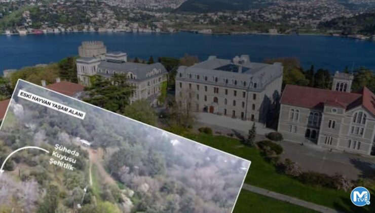 Şehitliğin üzerine hayvan barınağı kurdular, yetmezmiş gibi mağdura yattılar