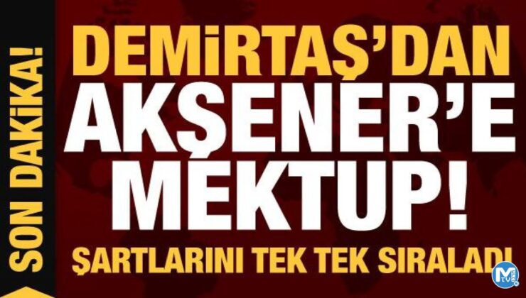 Selahattin Demirtaş’tan Meral Akşener’e mektup! Şartlarını tek tek sıraladı