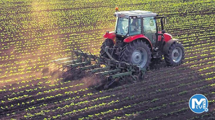 Tarım-GFE yıllık yüzde 95.99 arttı