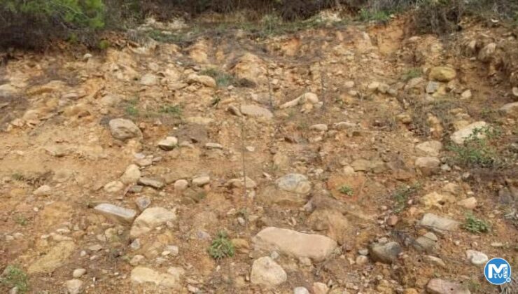 Deprem uzmanı korkuttu: Ölü faylar ‘tamamen ölmedik’ diye ses veriyor