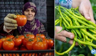 İhracatın kralı domates ve biber oldu