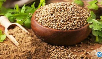 Kişniş otunun faydaları nelerdir? Kişniş çayı ne işe yarar? Kişniş tohumu nasıl tüketilir?