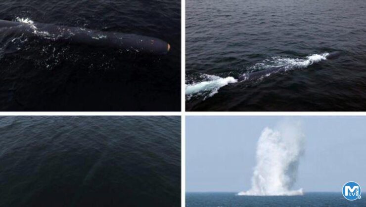 Kuzey Kore “ölümcül saldırı” yeteneğini test etti