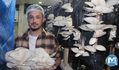 Tır şoförlüğünü bırakıp hayallerinin peşinden gitti